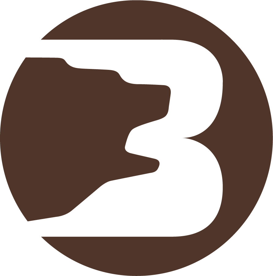 Brown Bears 1973-1992 Primary Logo DIY iron on transfer (heat transfer)